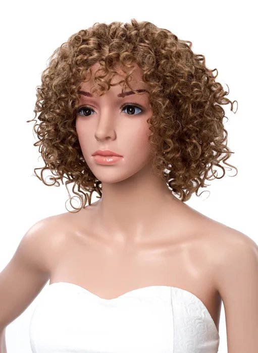 Afro American Kinky Curly Human Hair Lace Front Wigs 12 Inches