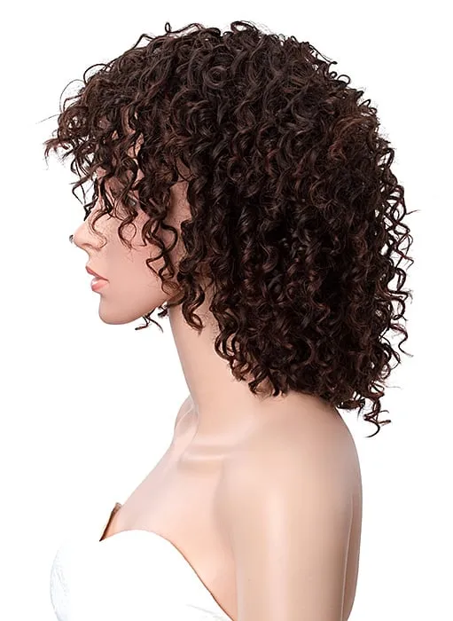 Short Kinky Curly African American Capless Synthetic Wigs 14 Inches