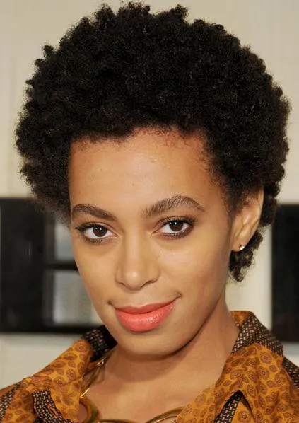 Solange Knowles Classic Afro Hairstyle Short Kinky Curly Hand Made Full Lace Wig 100% Real Human Hair