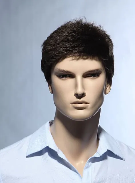 New Arrival Short Straight Dark Brown Synthetic Wig for Men